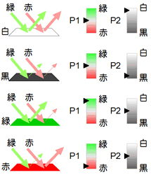 WS11出力信号